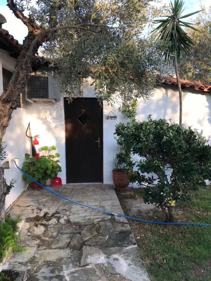 Oasis Aparthotel Skiathos Town Luaran gambar