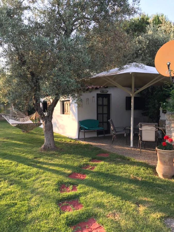 Oasis Aparthotel Skiathos Town Luaran gambar