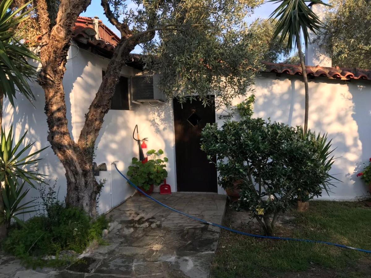 Oasis Aparthotel Skiathos Town Luaran gambar
